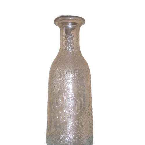 Anis Coq Hardi (dÃ©tourÃ©e)