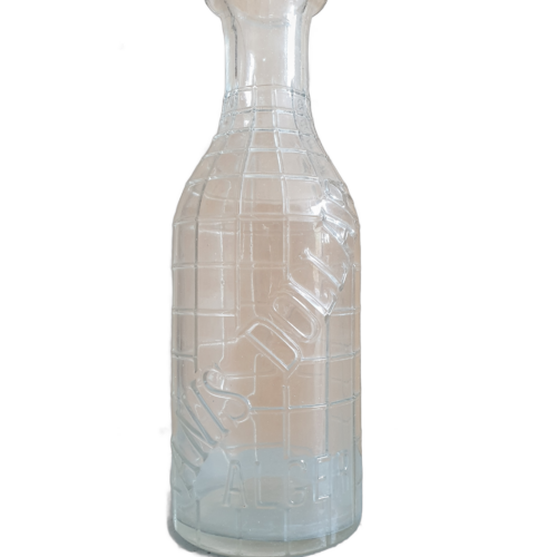 Anis Dollar Alger (détourée)