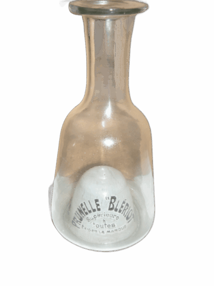 Bleriotine Prunelle (détourée)