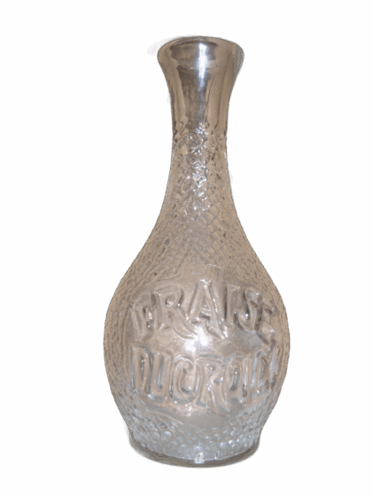 Fraise Ducroux A (détourée)