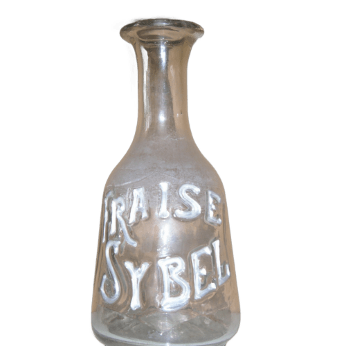 Fraise Sybel (dÃ©tourÃ©e)