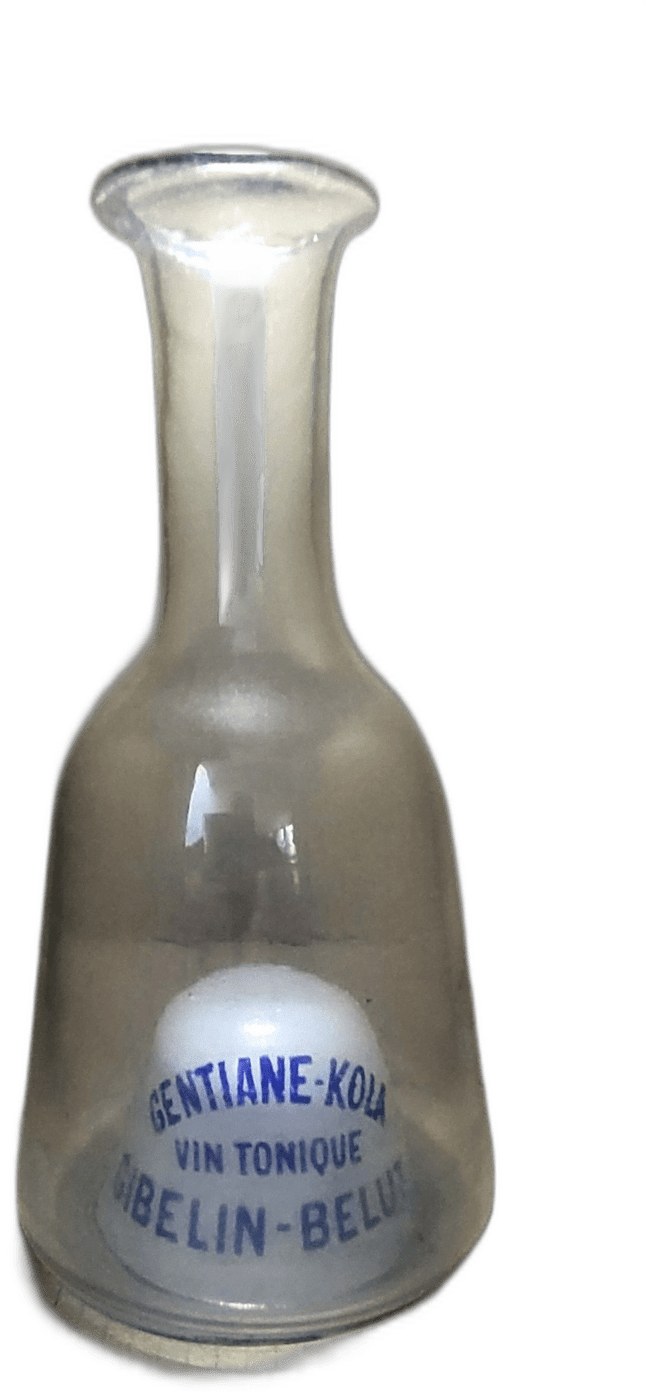 Gentiane Kola – 24 cm
