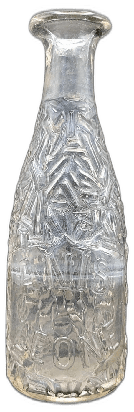 ANIS LEONE – 23,5 cm