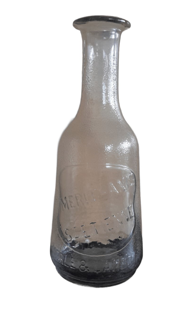 Merle Anis – St Etienne