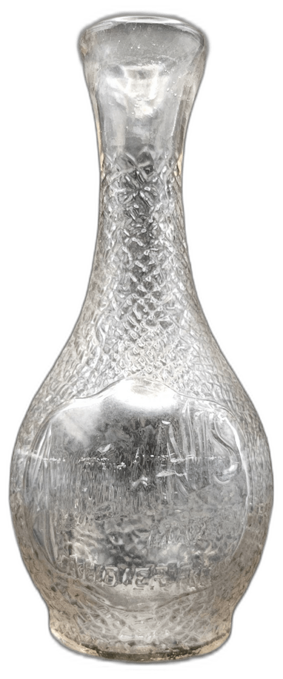 AUDE ANIS – 23,5 cm