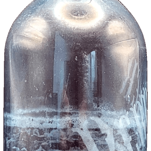 Kina Perrier – 26,5 cm (détourée)